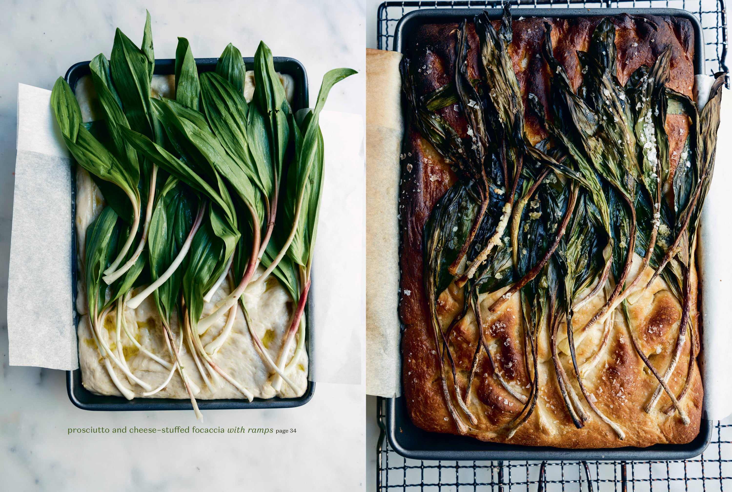 Rooted Kitchen - Salt &amp; Creek