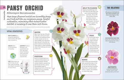 Happy Orchid - Salt &amp; Creek