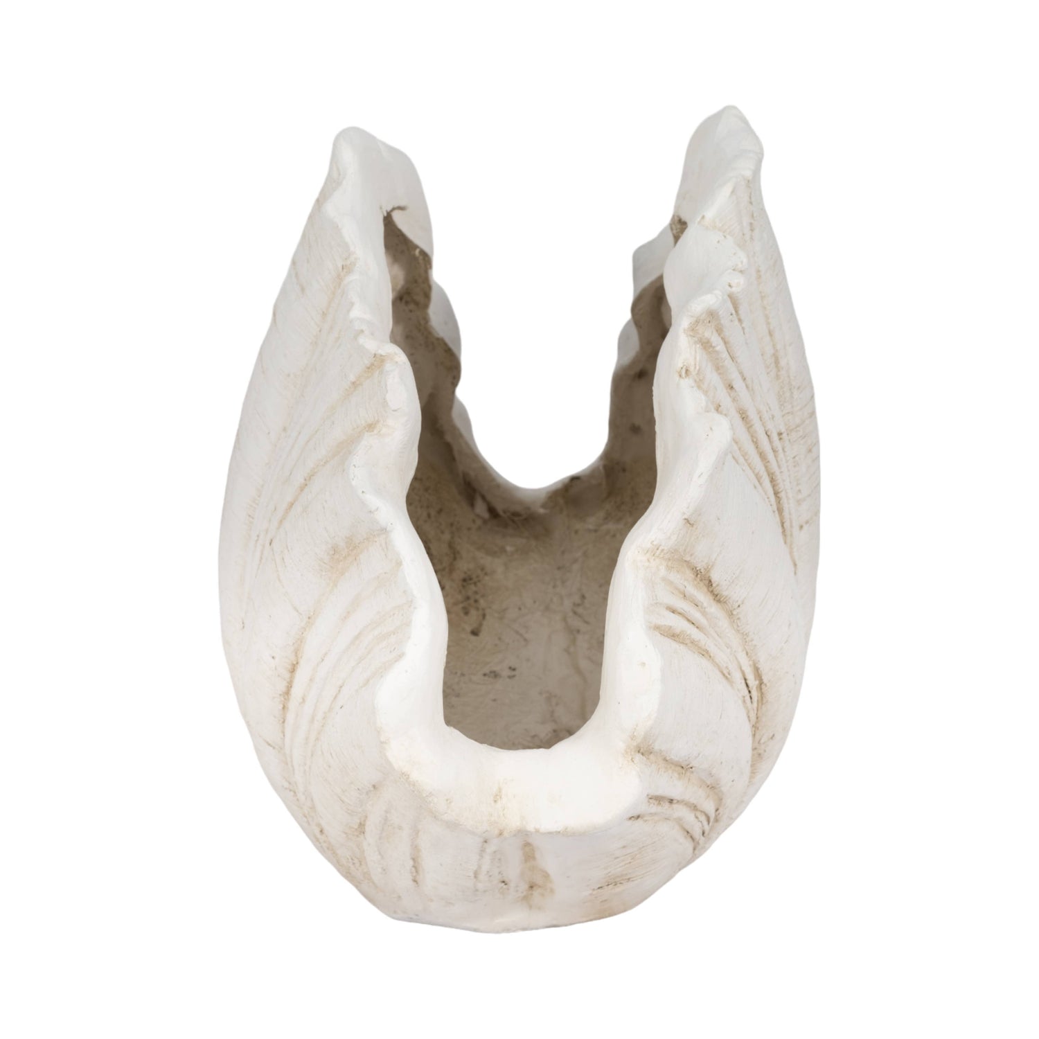 Coastal Scallop Shell
