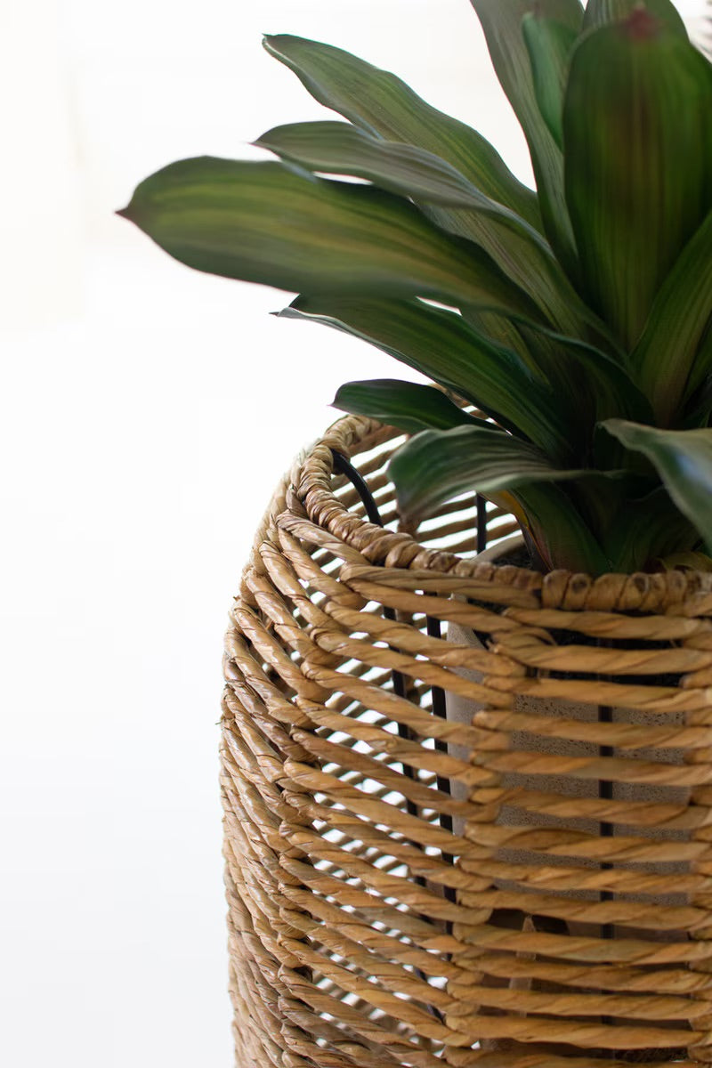 Woven Seagrass Barrel Planters, Set of 2