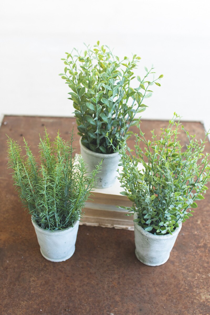 Artificial Herbs in Cement Pot