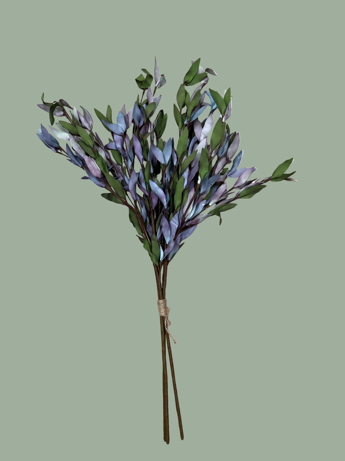 Purple Eucalyptus Stem
