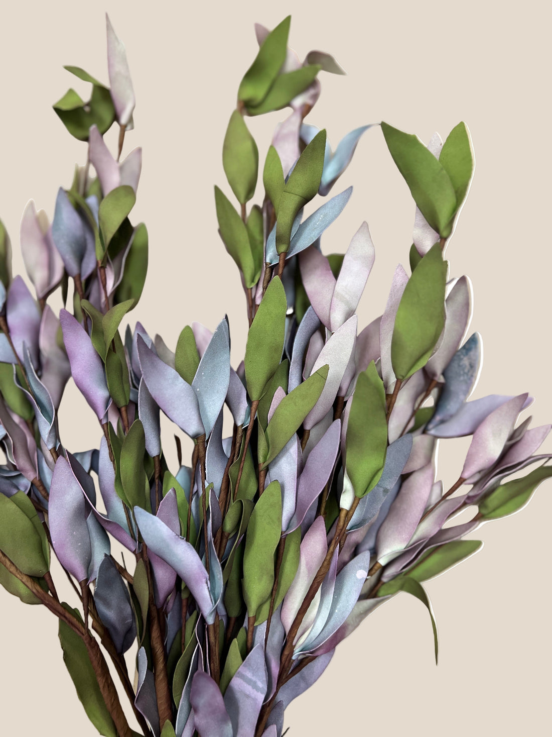 Purple Eucalyptus Stem