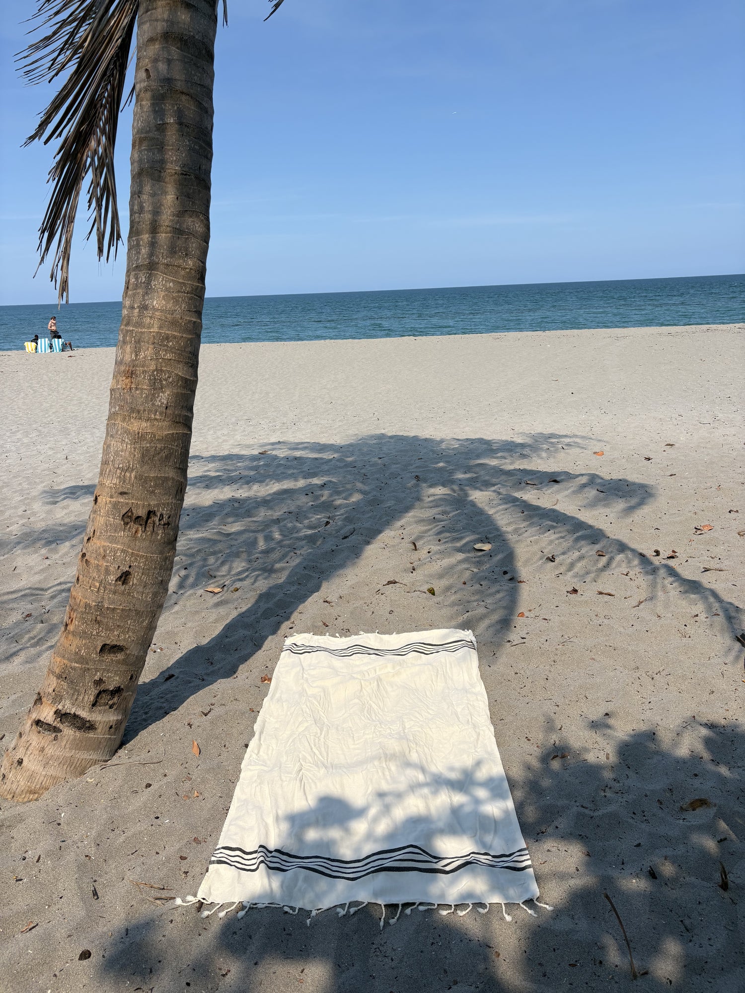 Beach Towel with Braided Fringe