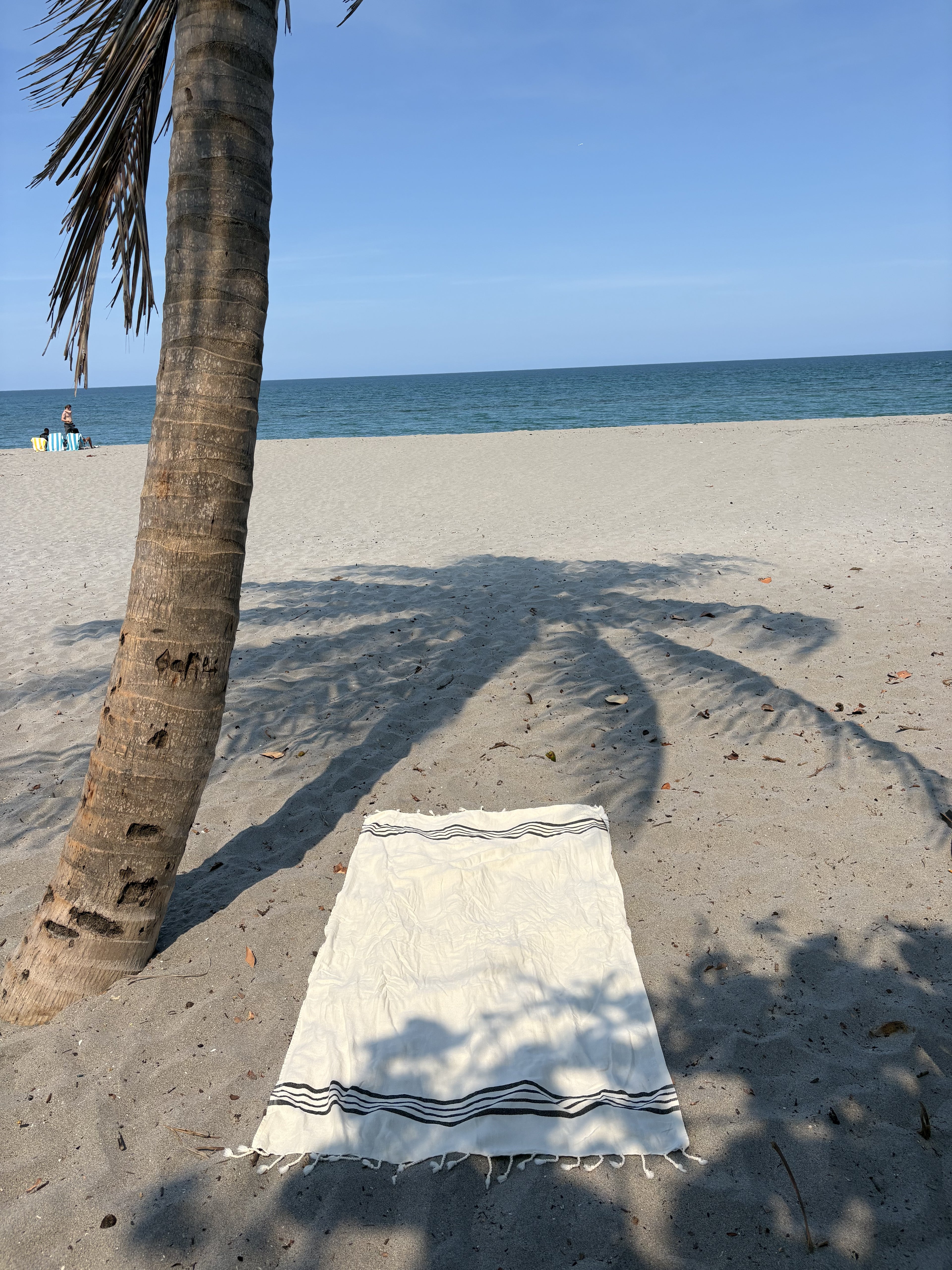 Beach Towel with Braided Fringe