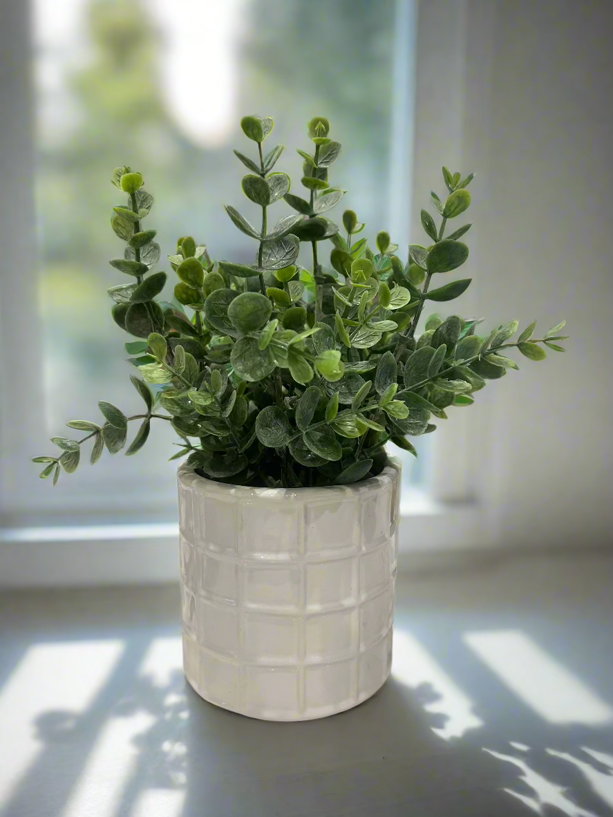 Petite Potted Plant