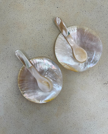 Mother of Pearl Spoon with Shell Handle