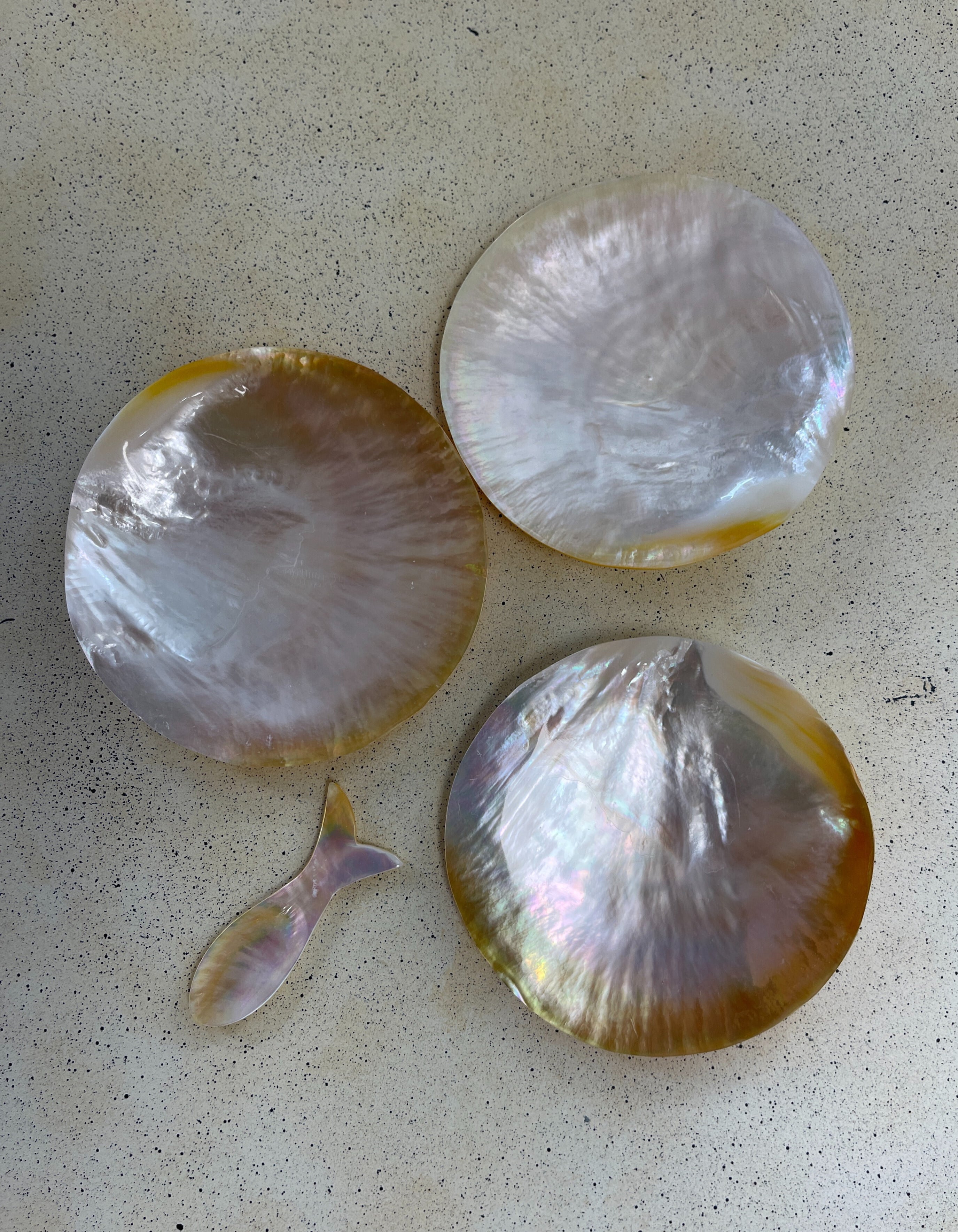 Mother of Pearl Tailfin Petite Caviar Spoon - Salt &amp; Creek