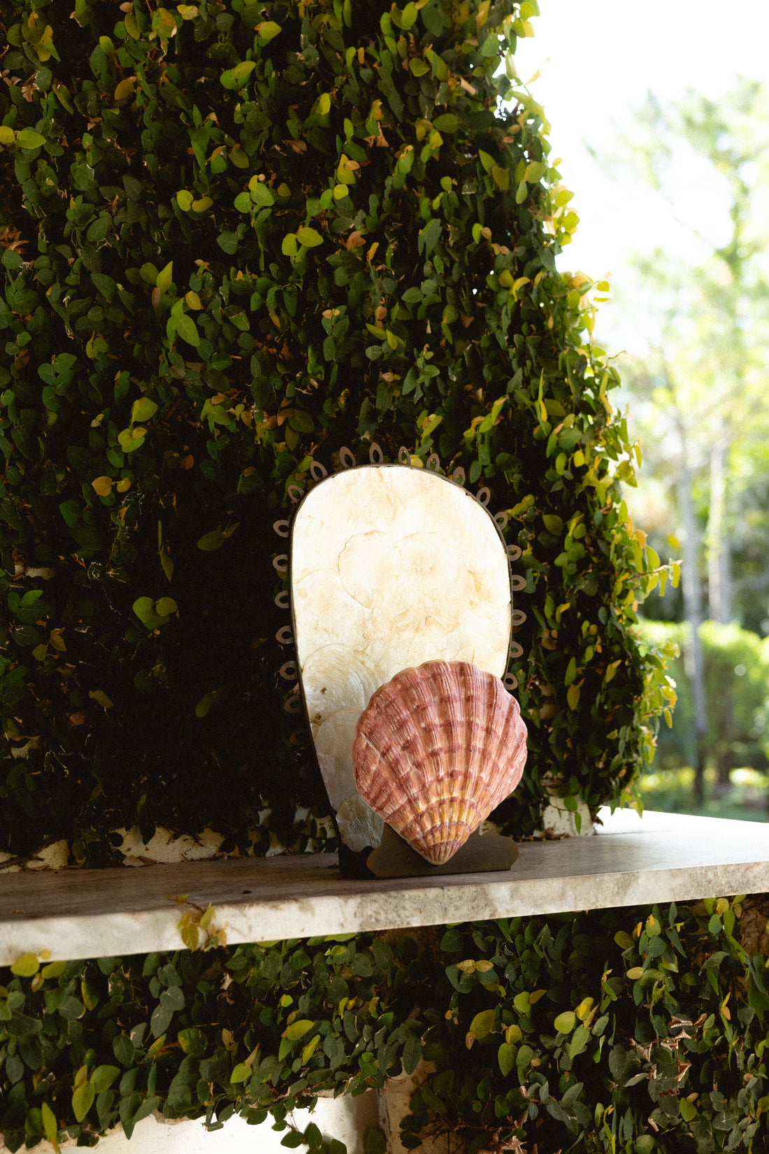 The Shell Sconce - Salt &amp; Creek