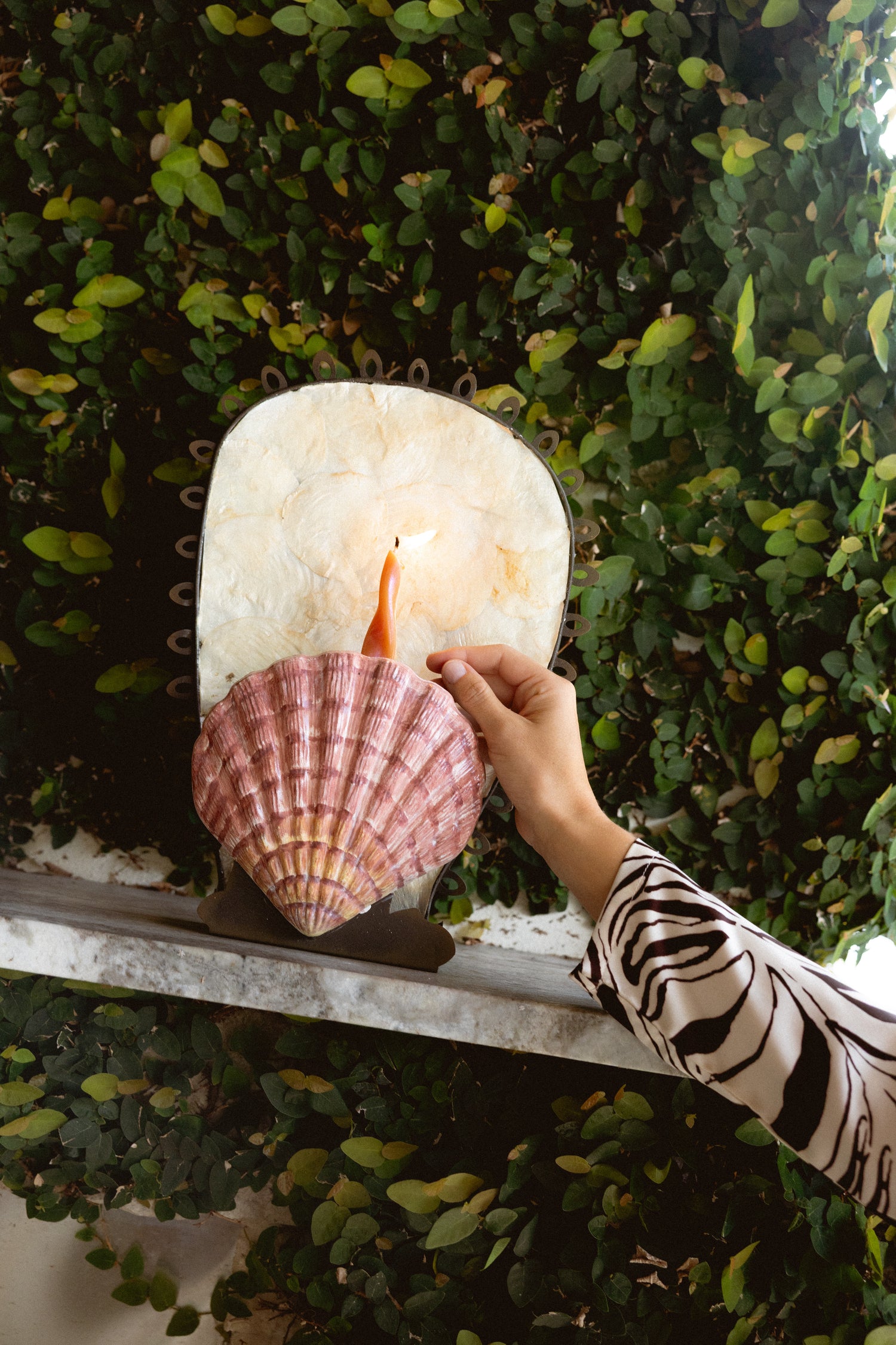 The Shell Sconce - Salt &amp; Creek