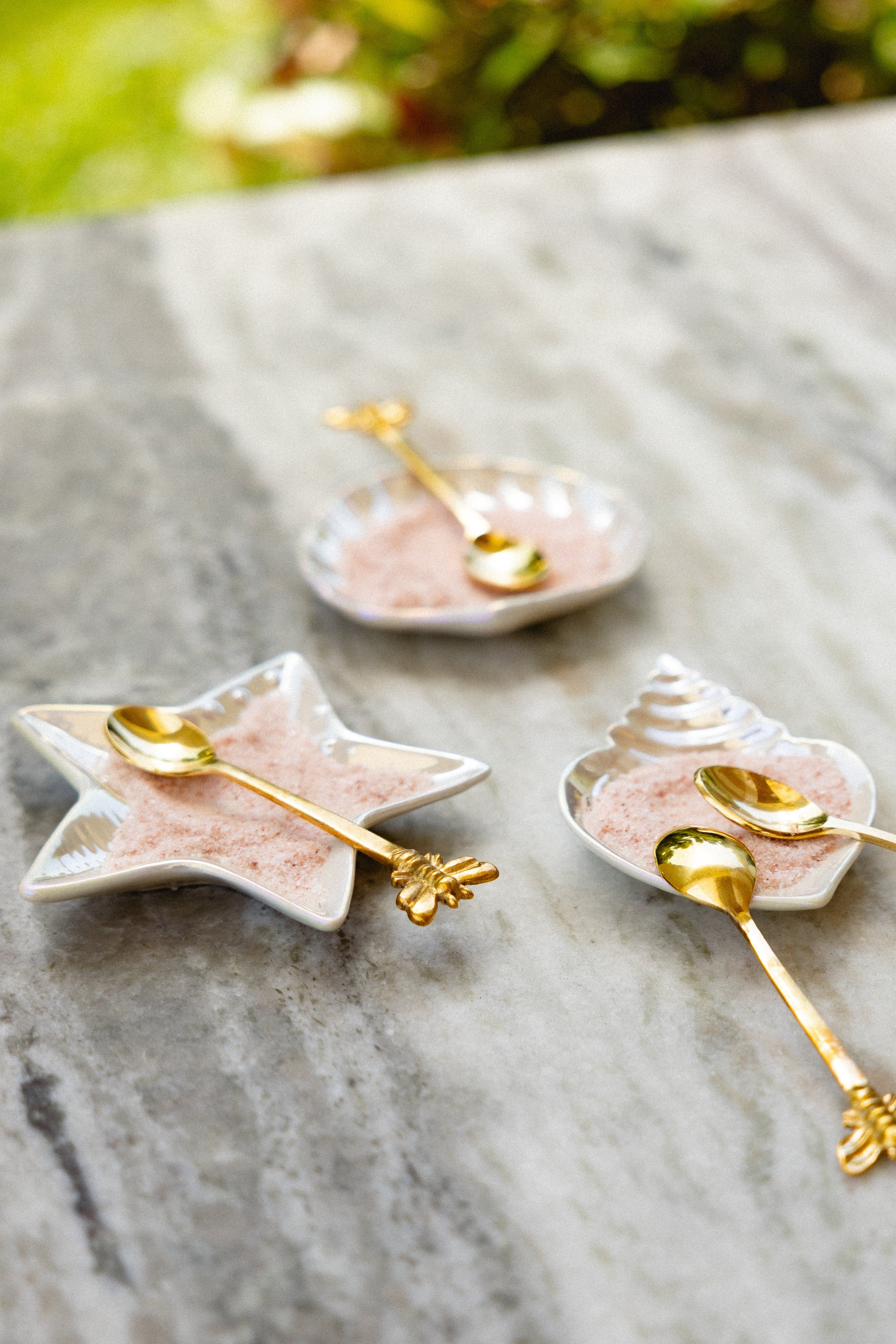 Iridescent Shell &amp; Starfish Stoneware Dish - Salt &amp; Creek