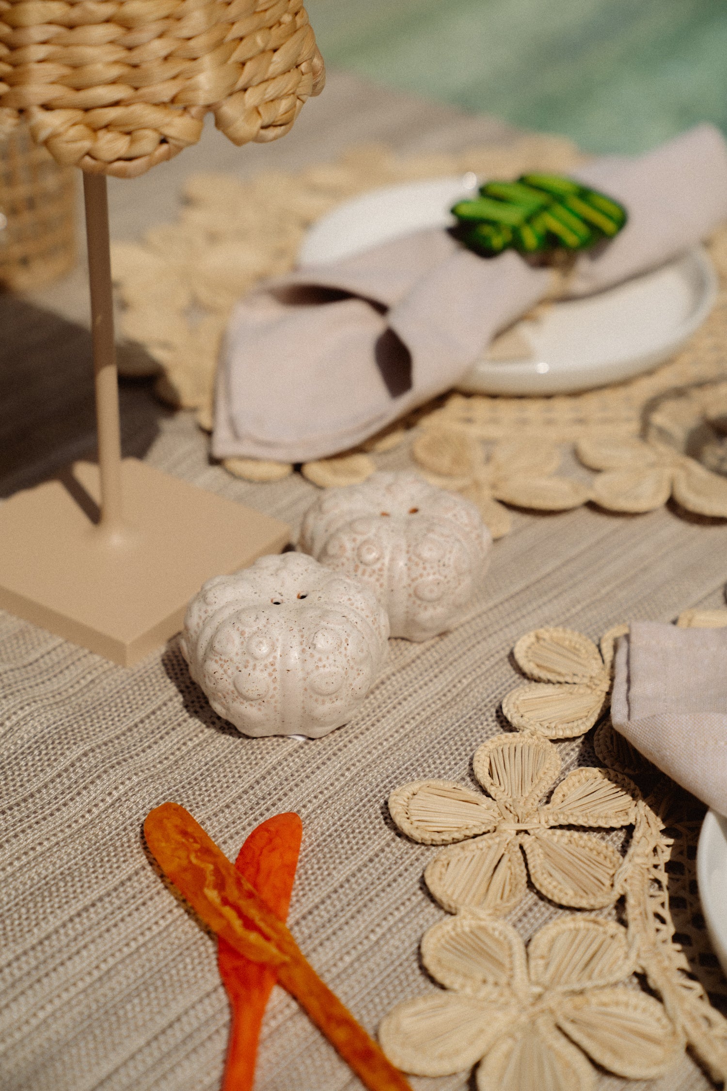 Set of Sea Urchin Shakers