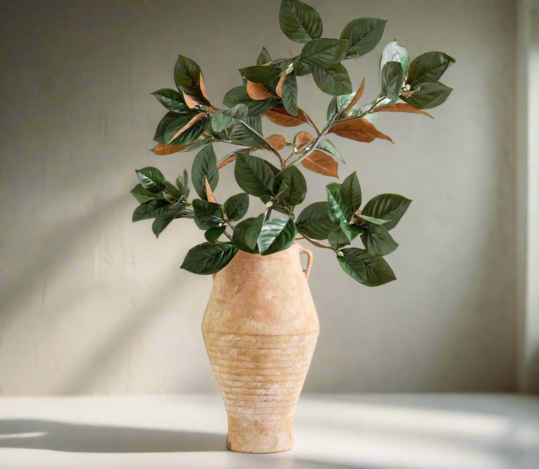 Magnolia Leaf Branch