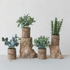Faux Plant in Burlap Bag with Jute Bow, 4 Styles - Salt & Creek