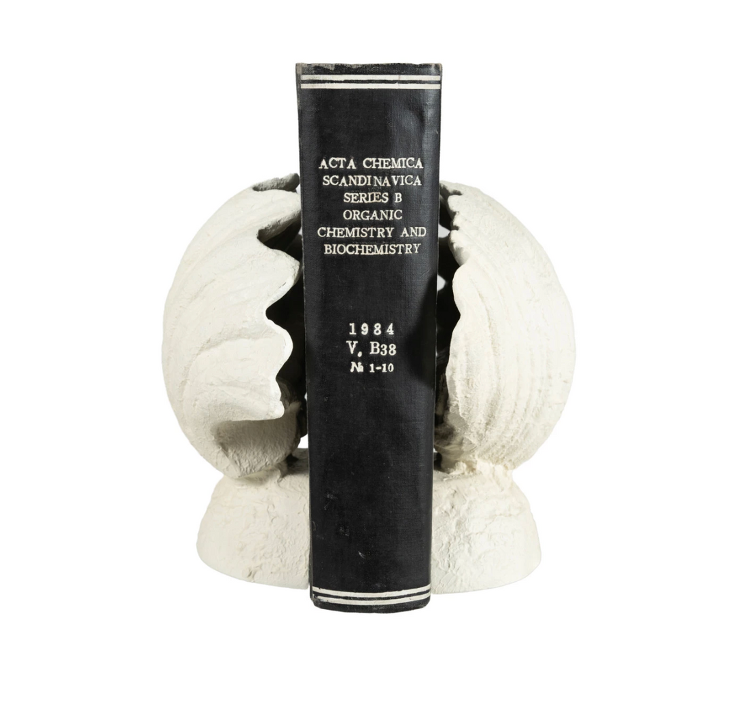 Cast Iron Shell Shaped Bookends, Matte Finish, Cream Color, Set of 2 - Salt &amp; Creek