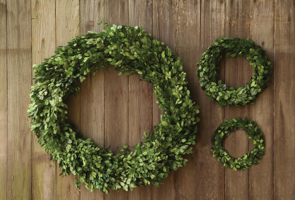 Preserved Boxwood Wreath - Salt &amp; Creek