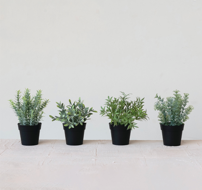 Faux Herbs in Plastic Pots, 4 Styles - Salt &amp; Creek