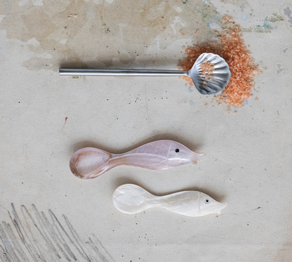 Stainless Steel Shell Shaped Spoon, Brushed Silver Finish - Salt &amp; Creek