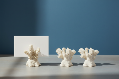 Resin Coral Shaped Place Card/Photo Holders with 12 Paper Cards, Boxed Set of 6 - Salt &amp; Creek
