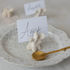 Resin Coral Shaped Place Card/Photo Holders with 12 Paper Cards, Boxed Set of 6 - Salt & Creek