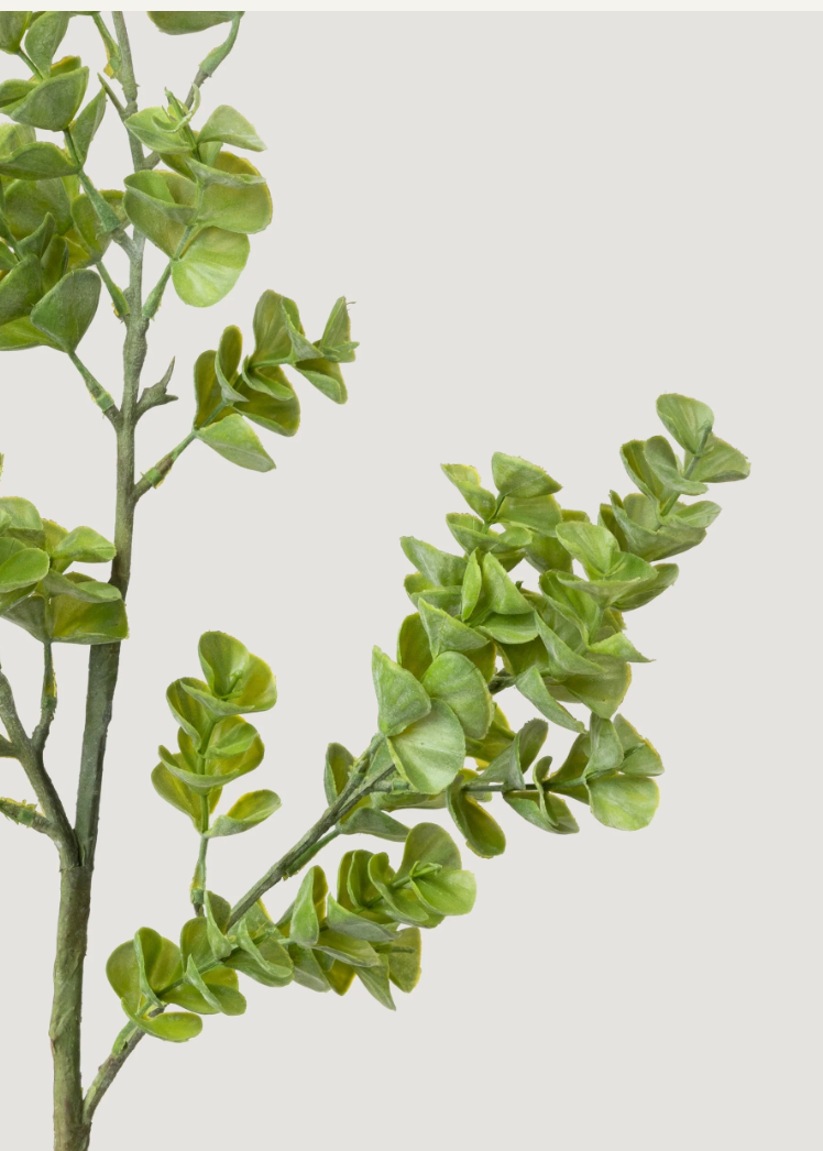 Artificial Real Touch Eucalyptus Leaf Branch - 27" - Salt &amp; Creek