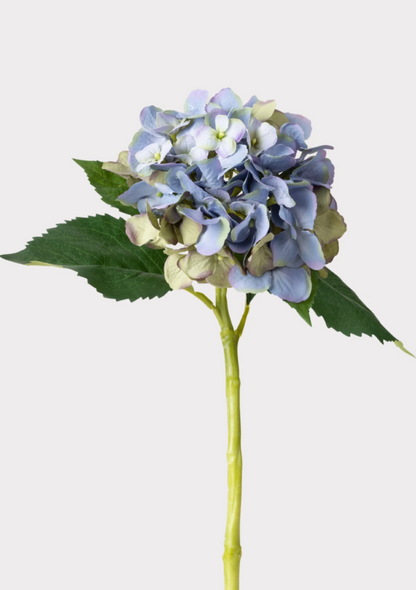 Vintage Blue Green Artificial Hydrangea - 19" - Salt &amp; Creek