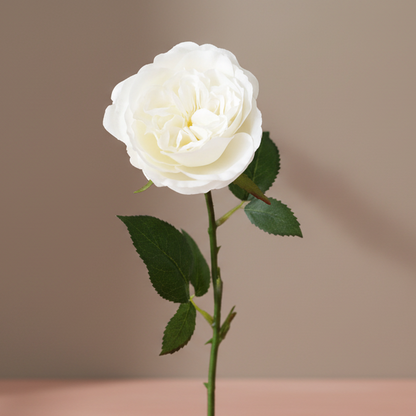 White Fake English Cabbage Rose - 20.5" - Salt &amp; Creek