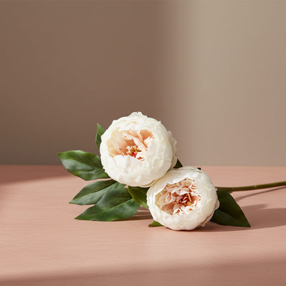 Cream Forever Peony Flowers - 22" - Salt &amp; Creek