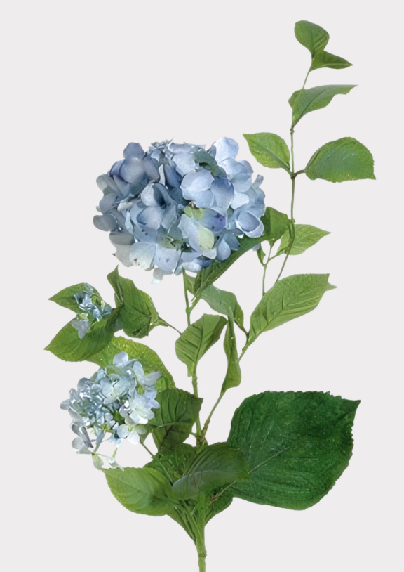 Forever Hydrangea in Antique Light Blue - 36" - Salt &amp; Creek