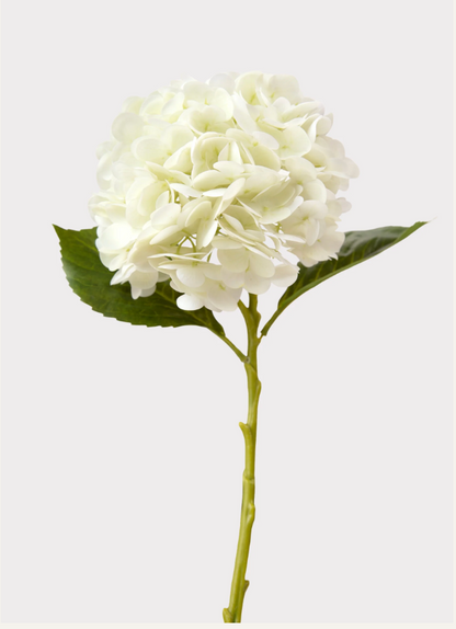 Cream Real Touch Faux Hydrangea Stem - Salt &amp; Creek