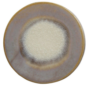 Stoneware Trivet with Glaze