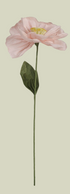 Blush Paper Poppy Stem Pick, Assorted Shades - Salt & Creek