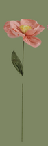 Blush Paper Poppy Stem Pick, Assorted Shades - Salt & Creek