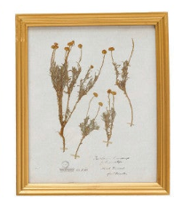 Wood Framed Glass Wall Decor - Salt &amp; Creek