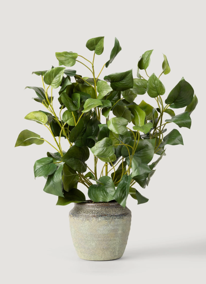 Fake Philodendron Tropical Leaves Plant - 28" - Salt &amp; Creek