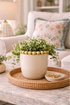 The Gold Halo Planter - Salt & Creek