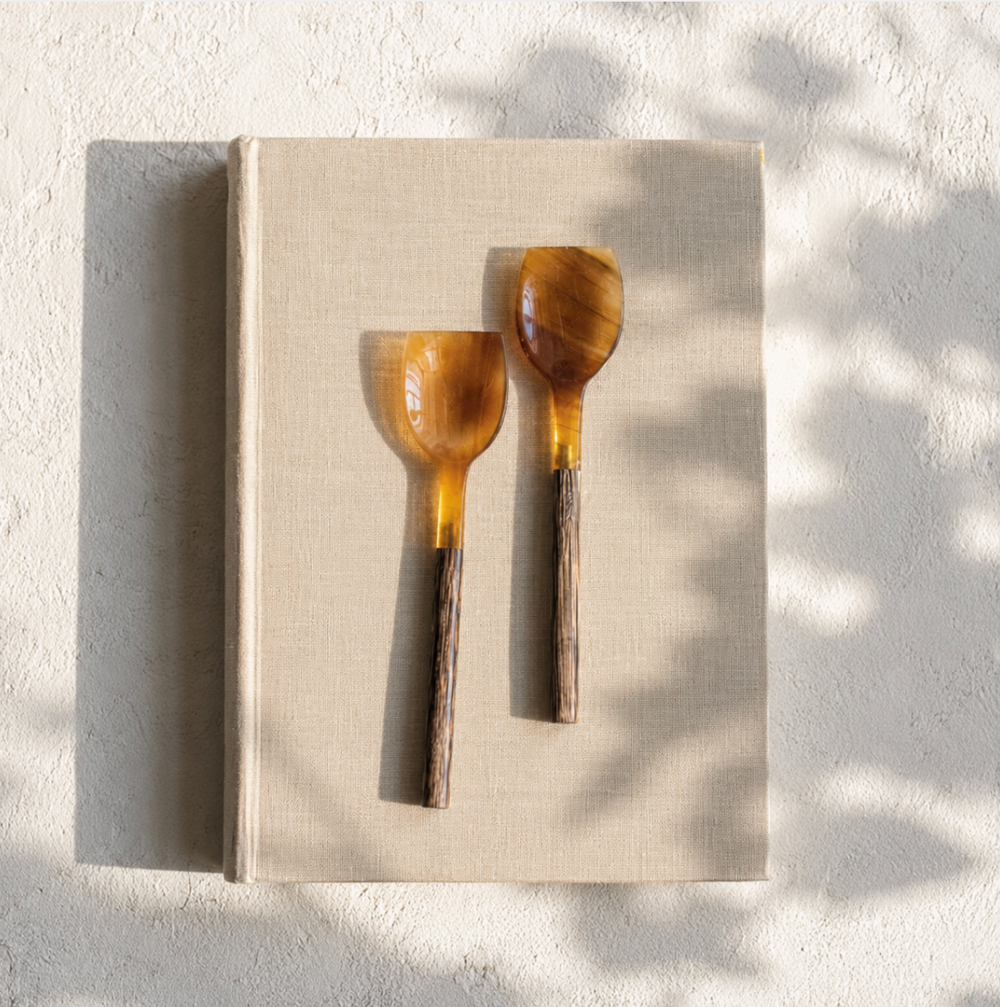 Natural Horn &amp; Wood Spoon