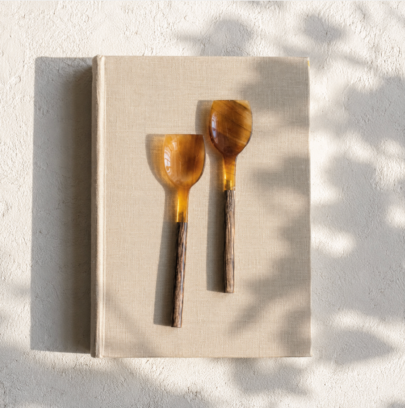 Natural Horn &amp; Wood Spoon