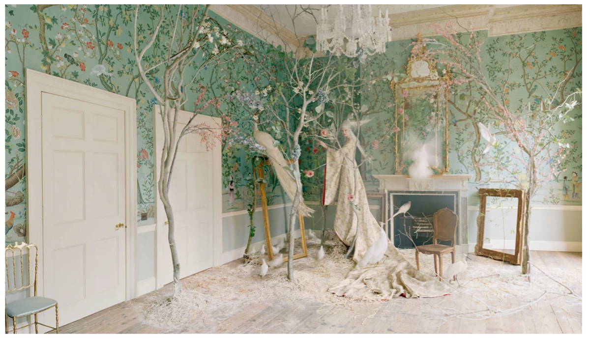 de Gournay - Salt &amp; Creek