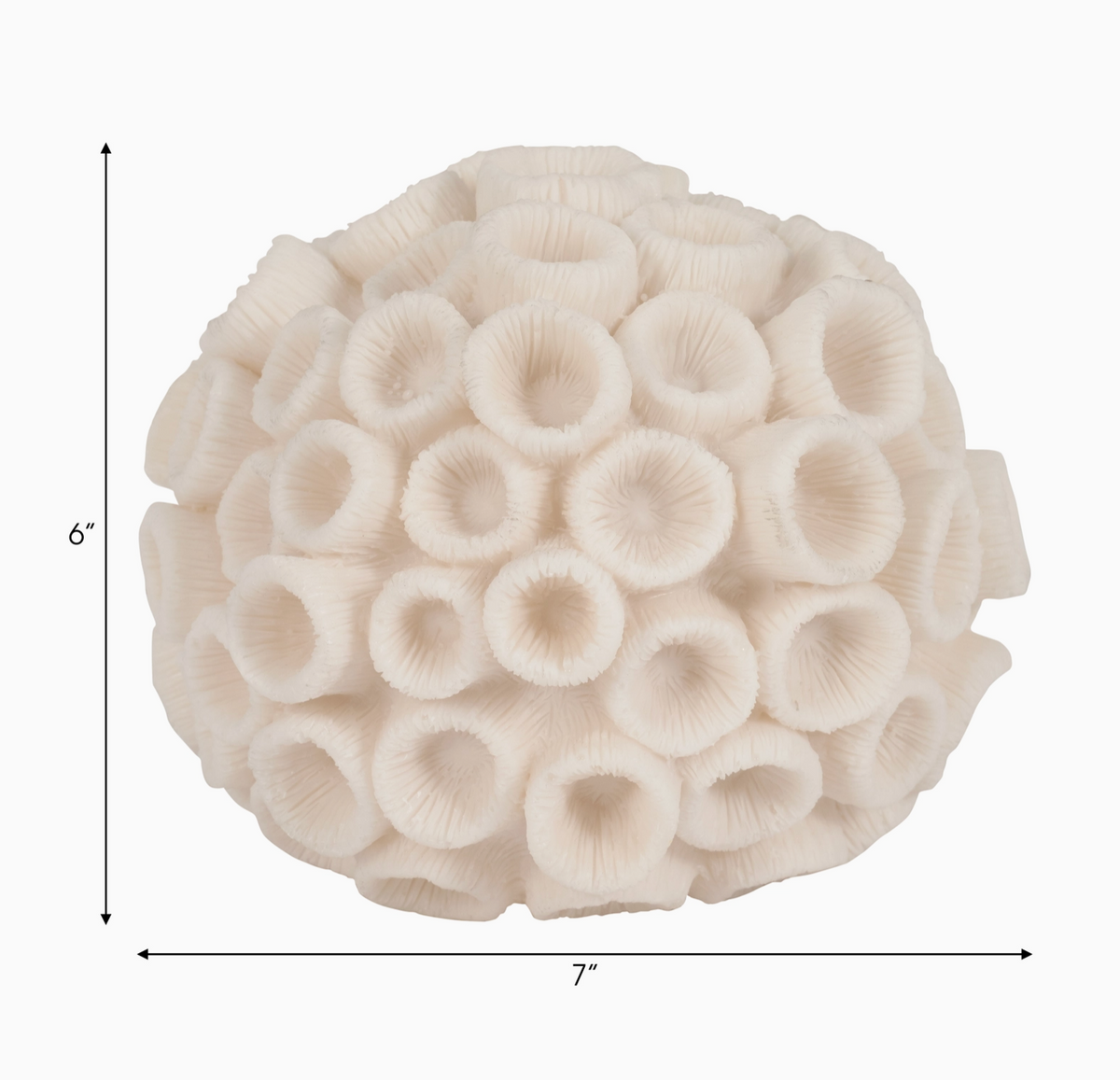 Nerina Coral Sculpture - Salt &amp; Creek
