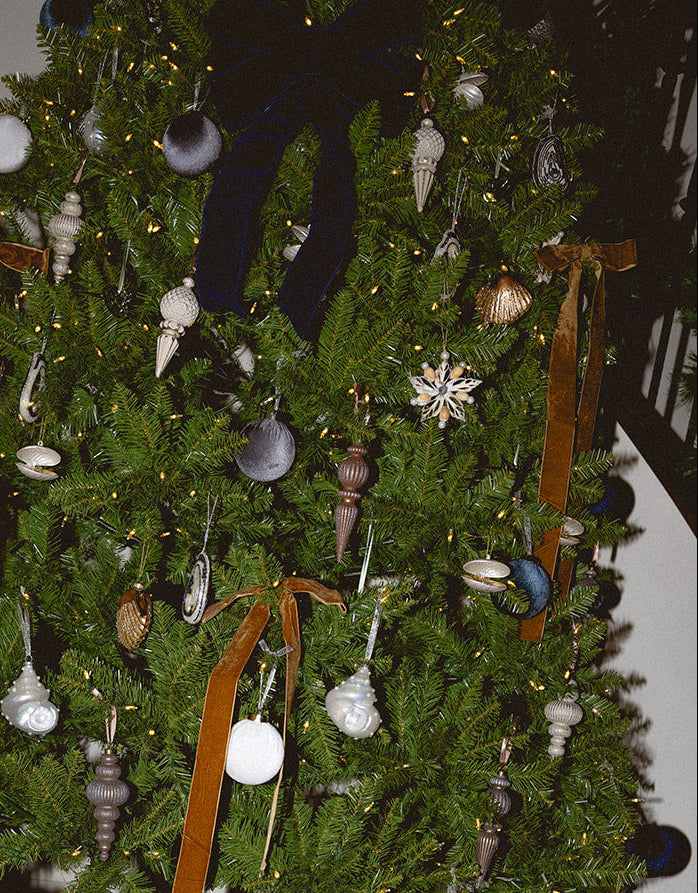 Pearlescent Conch Shell Ornament