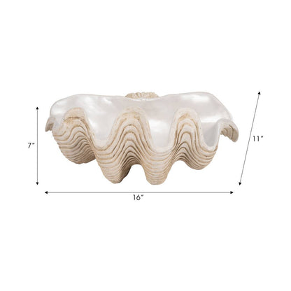 Coastal Muse Clam