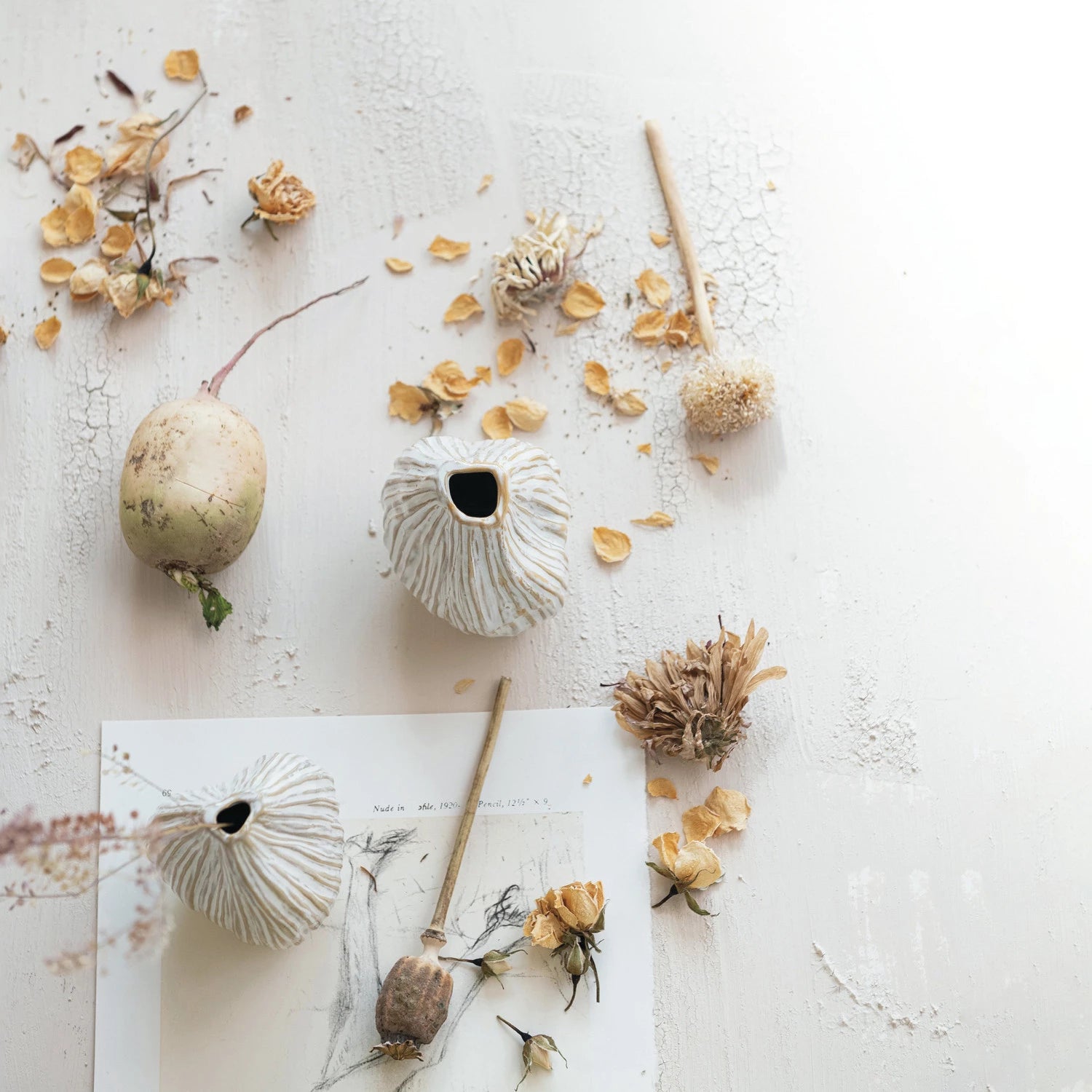 Equinox Vases Set - Salt &amp; Creek