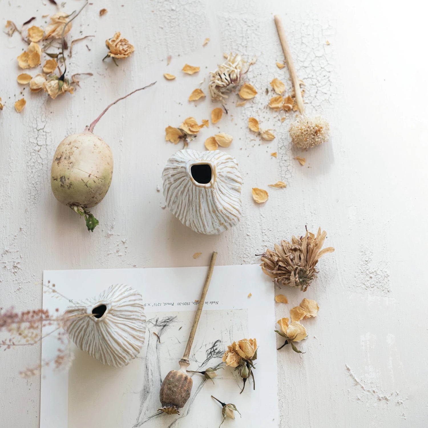 Equinox Vases Set - Salt &amp; Creek