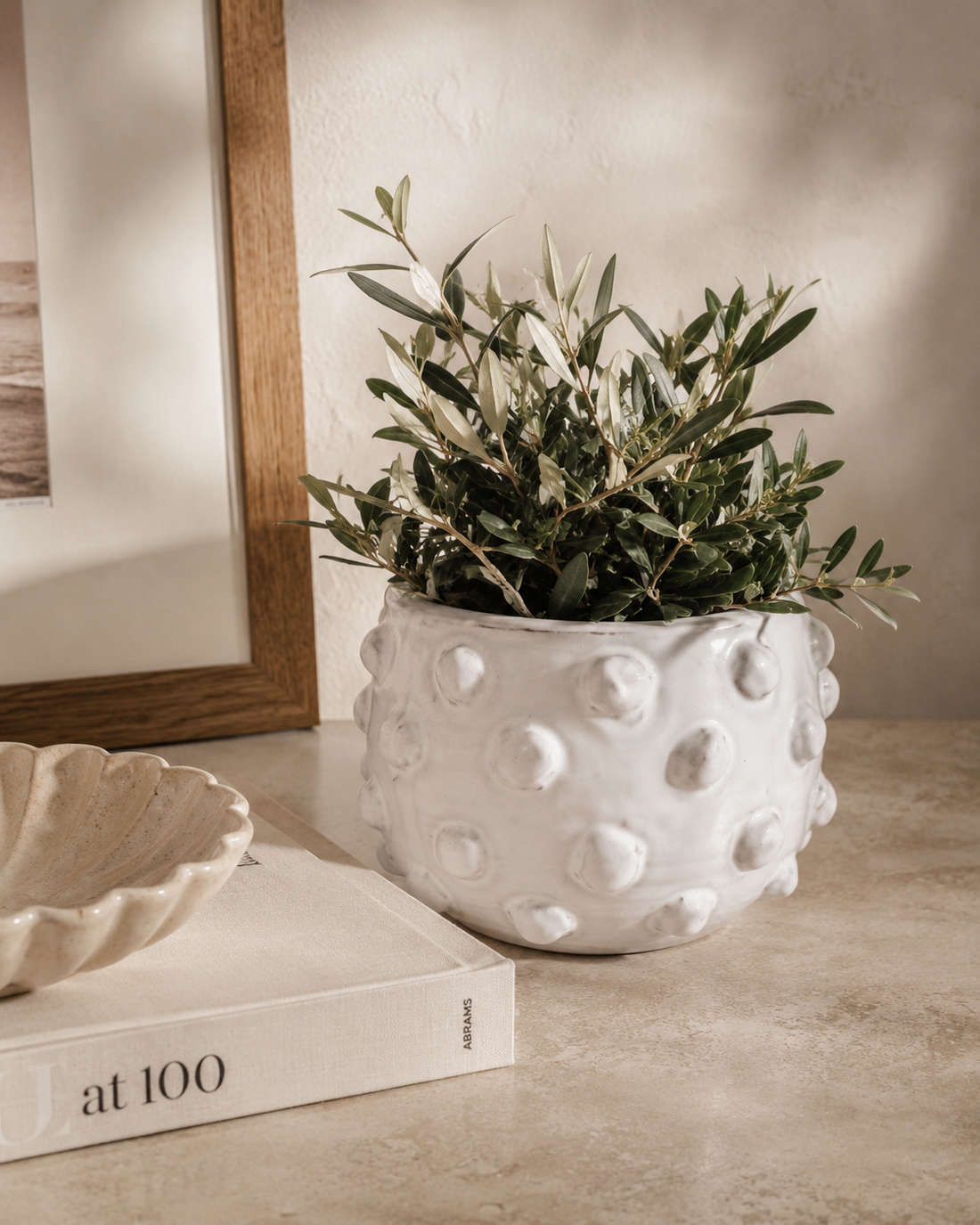 Gaida Planter - Salt &amp; Creek