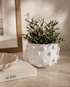 Gaida Planter - Salt & Creek