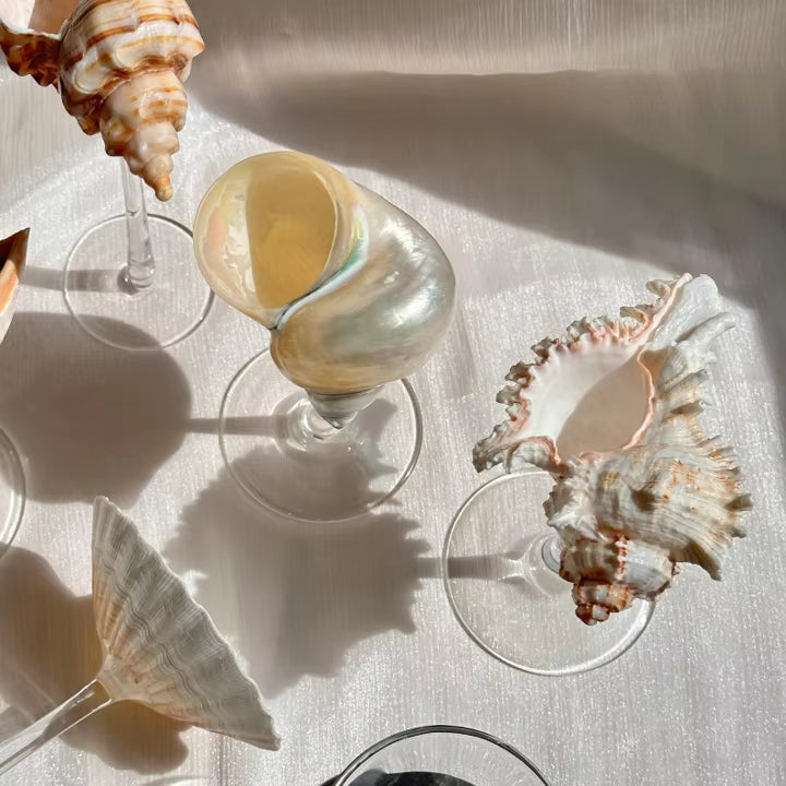 Siren Cocktail Coupe