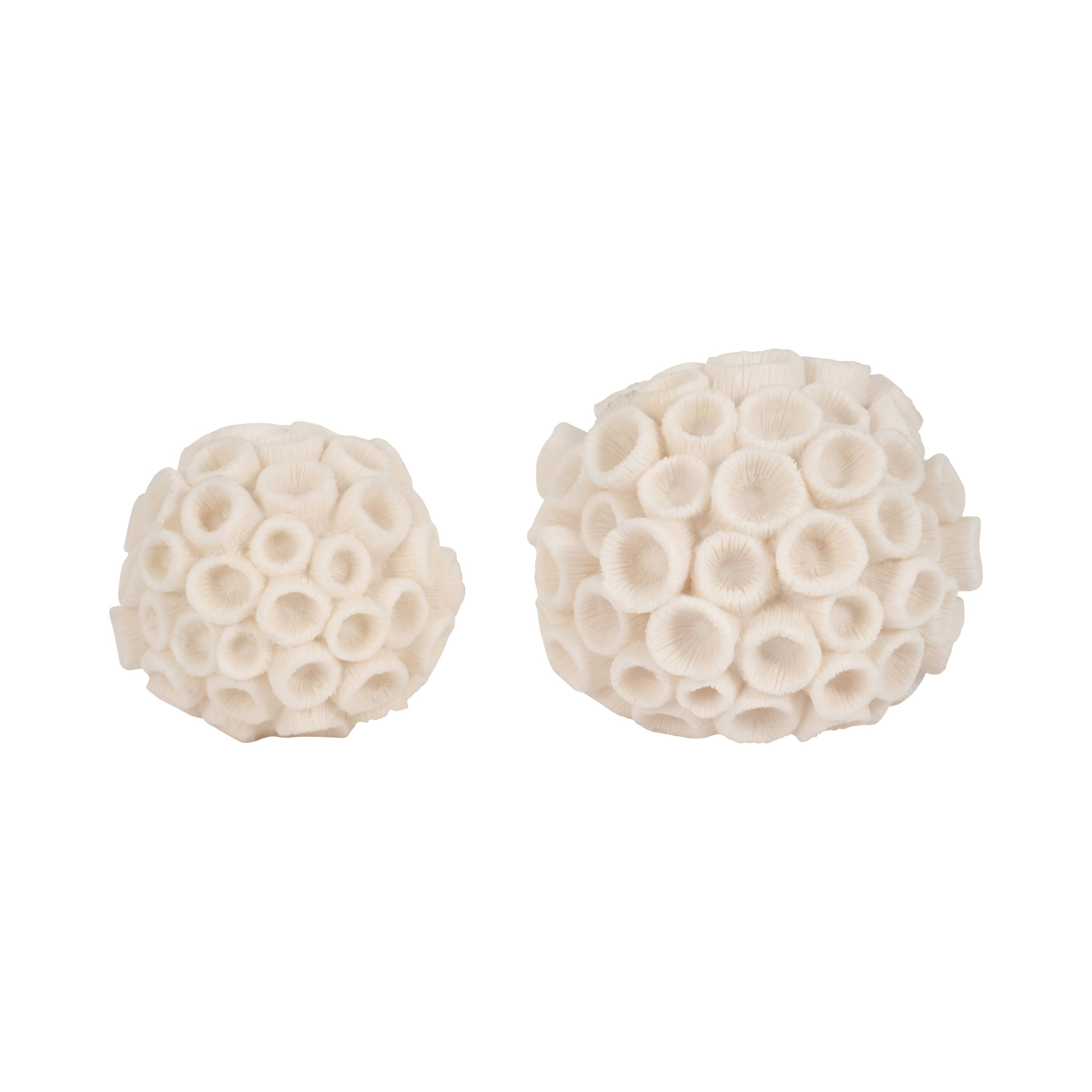 Sculptural Coral