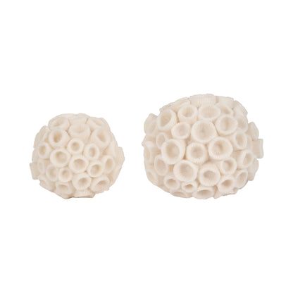 Sculptural Coral
