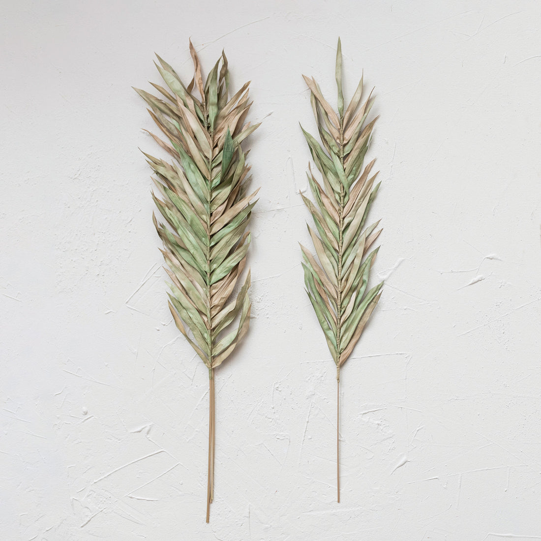 Dried Natural Fountain Palm Bunch